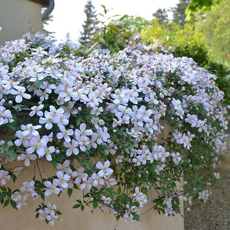 Le Clos Fleuri Bed & Breakfast Giverny Exterior photo