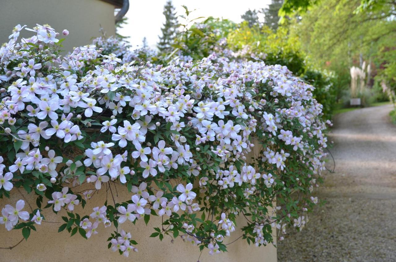 Le Clos Fleuri Bed & Breakfast Giverny Exterior photo